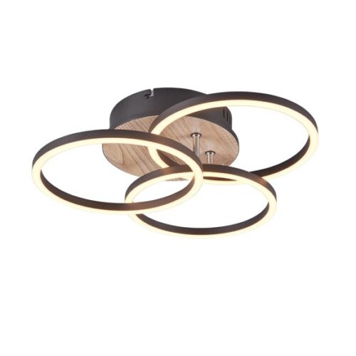 Trio R62823135 Circle LED stropní svítidlo | Variabilní | 27W