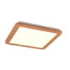 Trio R62931835 Camillus LED stropní svítidlo | Teplá bílá | 16W