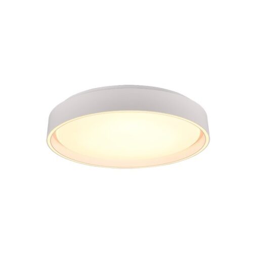 Trio R64391031 Felis LED Stropní svítidlo s ovladačem | Variabilní | 24W | Bílá