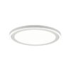 Trio R67224331 Carus LED stropní svítidlo | Přírodní bílá | 20+9W | Bílá
