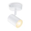 WiZ 8719514551756 Tunable Smart LED bodové svítidlo | Variabilní | 5W | Bílá