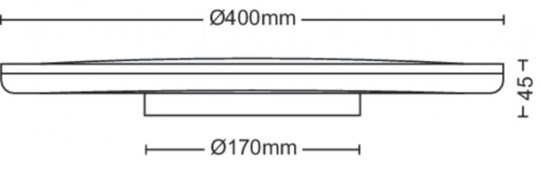 Philips 8719514432048 Ozziet LED stropní svítidlo | Přírodní bílá | 22W | Černá