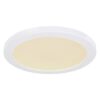 Globo 12379-24W LED stropní svítidlo | Variabilní | Bílá