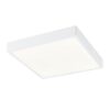 Globo 12365-30 LED Koupelnové stropní svítidlo | Přírodní bílá | Bílá | 28W