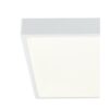 Globo 12365-30 LED Koupelnové stropní svítidlo | Přírodní bílá | Bílá | 28W