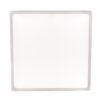 Globo 12367-30 LED Koupelnové stropní svítidlo | Přírodní bílá | Kov | Nikl | 28W