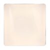 Globo 48406-48SH LED Stropní svítidlo s ovladačem | Variabilní | Bílá | 48W