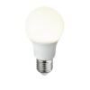 Globo 10600C