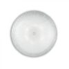 Ideal lux 008622 Shell Přisazené stropní svítidlo | E27