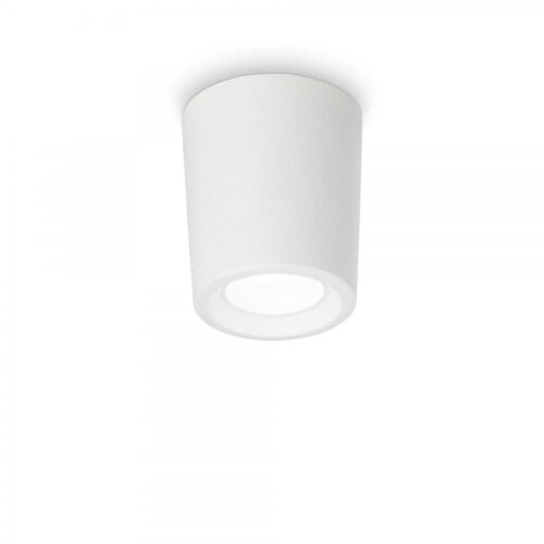 Ideal lux 269757 Livia Přisazené stropní svítidlo | GU10
