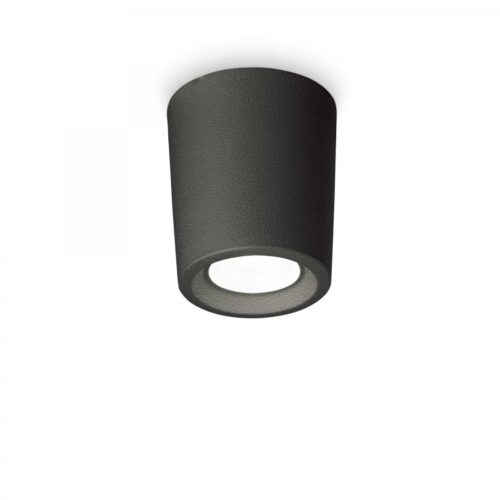 Ideal lux 269764 Livia Přisazené stropní svítidlo | GU10