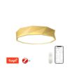 Immax 07132-G60 LED stropní svítidlo | Variabilní | 43W