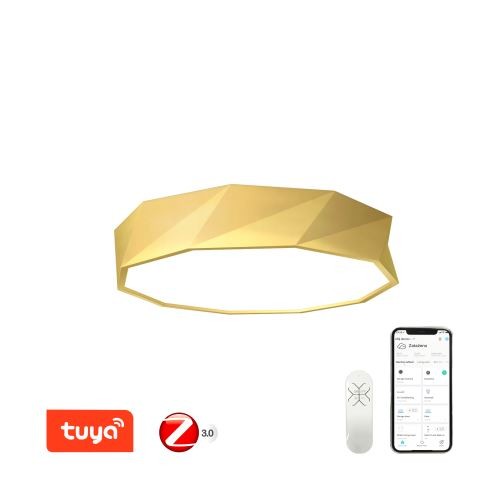 Immax 07132-G60 LED stropní svítidlo | Variabilní | 43W