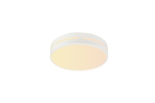 Immax 07153-W30 LED stropní svítidlo | Variabilní | 24W | Bílá