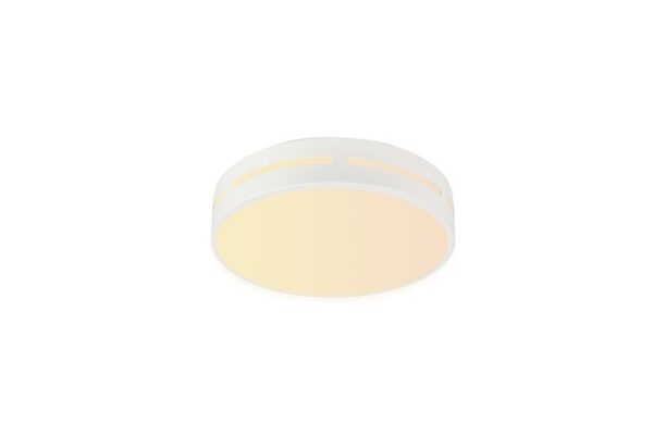 Immax 07153-W30 LED stropní svítidlo | Variabilní | 24W | Bílá