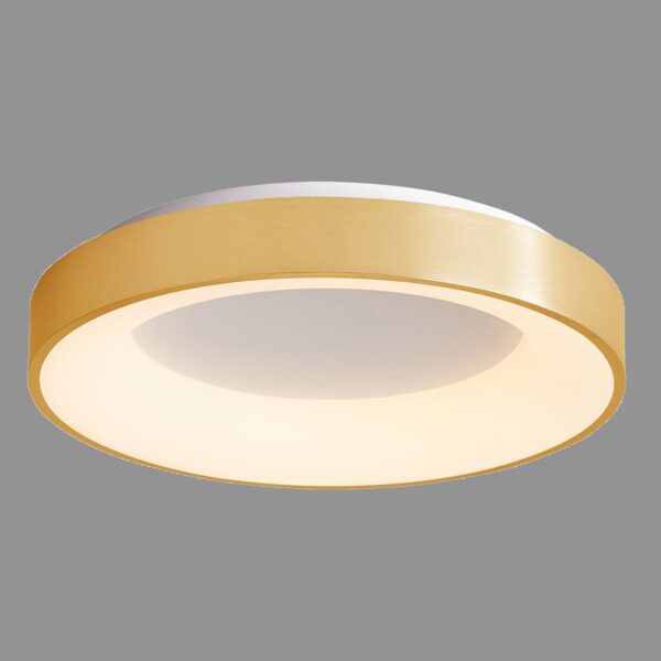 Italux 5900644311713 LED stropní svítidlo | Teplá bílá | 50W | Bílá