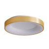 Italux 5900644311713 LED stropní svítidlo | Teplá bílá | 50W | Bílá