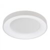 Italux 5900644438595 LED stropní svítidlo | Teplá bílá | 50=2750lmW