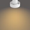 Philips 50602/31/P0 LED bodové svítidlo | Variabilní | 2 x 4,3 W | 12