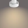 Philips 50602/31/P0 LED bodové svítidlo | Variabilní | 2 x 4,3 W | 13
