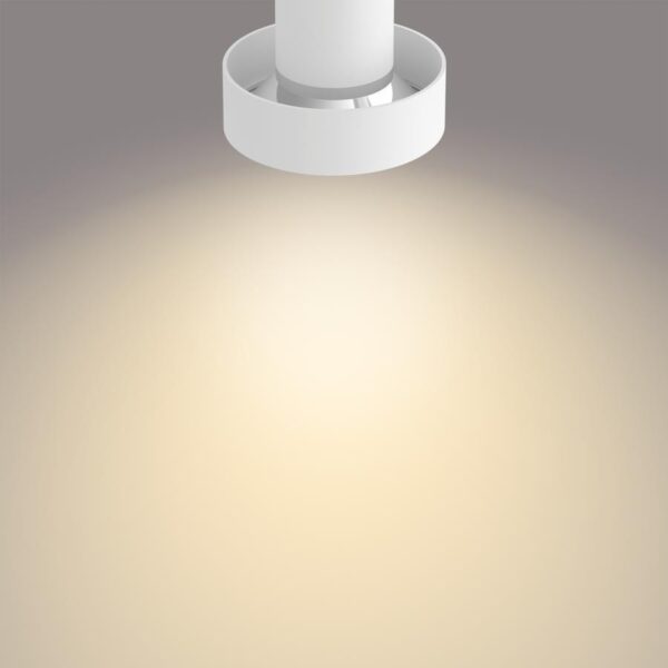 Philips 50602/31/P0 LED bodové svítidlo | Variabilní | 2 x 4,3 W | 7