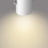 Philips 50664/31/P0 Přisazené stropní svítidlo | Bílá