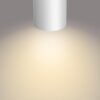 Philips 50673/31/P0 LED bodové svítidlo | Variabilní | Bílá | 3 x 4,3 W