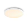 Philips 32809/31/P0 LED stropní svítidlo | Teplá bílá | Bílá |  18 W