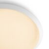 Philips 32809/31/P0 LED stropní svítidlo | Teplá bílá | Bílá |  18 W