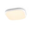 Philips 32810/31/P0 LED stropní svítidlo | Teplá bílá | Bílá |  18 W