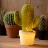 Lucide 13513/01/33 Cactus Dětská stolní lampička | E14