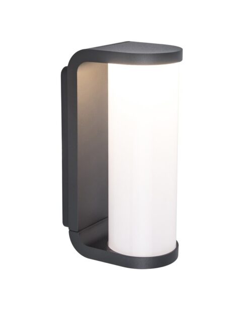 Lutec 5193602118 Adalyn LED Nástěnné venkovní světlo | Teplá bílá | 10W | Šedá