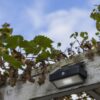Lutec 6910601335 Arrow LED Nástěnné venkovní světlo | Přírodní bílá | 2W | Šedá