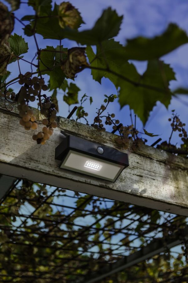Lutec 6910601335 Arrow LED Nástěnné venkovní světlo | Přírodní bílá | 2W | Šedá