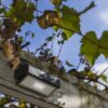 Lutec 6910601335 Arrow LED Nástěnné venkovní světlo | Přírodní bílá | 2W | Šedá
