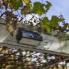 Lutec 6910601335 Arrow LED Nástěnné venkovní světlo | Přírodní bílá | 2W | Šedá