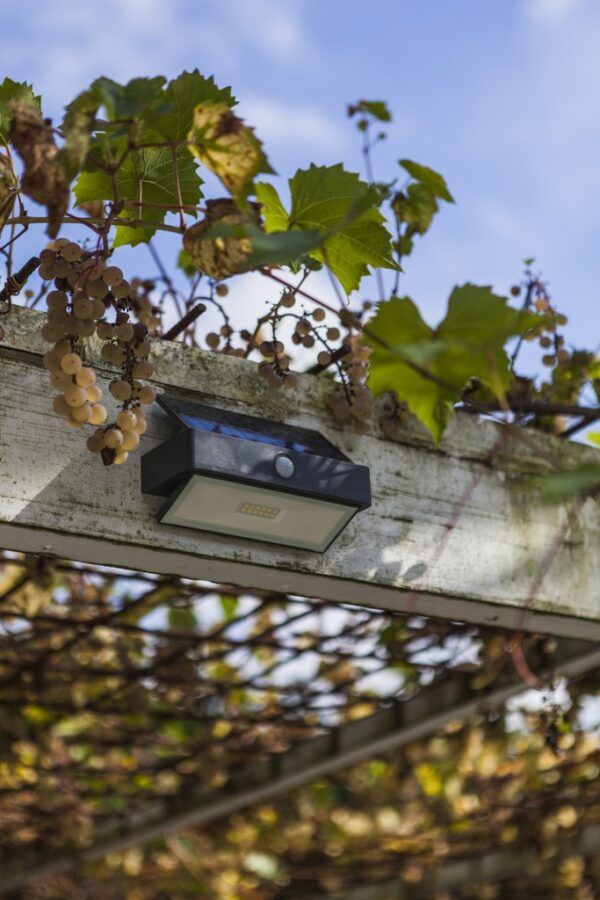 Lutec 6910601335 Arrow LED Nástěnné venkovní světlo | Přírodní bílá | 2W | Šedá