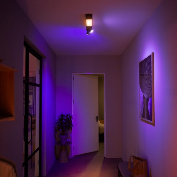 Philips Hue 50610/30/P7 Smart LED Přisazený lustr | RGB | Variabilní | Černá | 2x5,7W