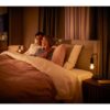 Philips Hue 8719514301429 Smart LED Smart žárovka E27 | Variabilní | 7W