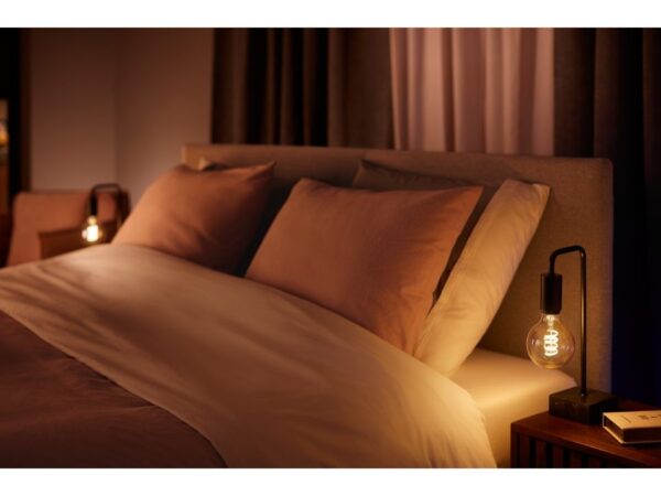 Philips Hue 8719514301481 Smart LED Smart žárovka E27 | Variabilní | 7W