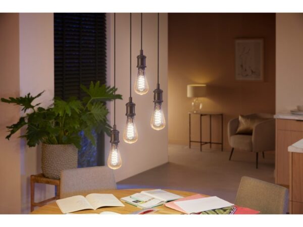 Philips Hue 8719514301504 Smart LED Smart žárovka E27 | Variabilní | 7W