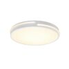 Trio R62241131 Tacoma LED Stropní svítidlo s ovladačem | Teplá bílá | Bílá | 24W