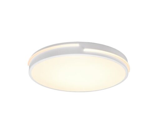 Trio R62241131 Tacoma LED Stropní svítidlo s ovladačem | Teplá bílá | Bílá | 24W