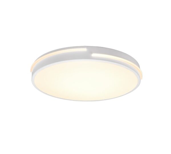 Trio R62241131 Tacoma LED Stropní svítidlo s ovladačem | Teplá bílá | Bílá | 24W
