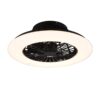Trio R62522132 Stralsund LED stropní svítidlo | Teplá bílá | Černá | 30W