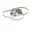 Trio R62823107 Circle LED Stropní svítidlo s ovladačem | Variabilní | Kov | Nikl | 27W