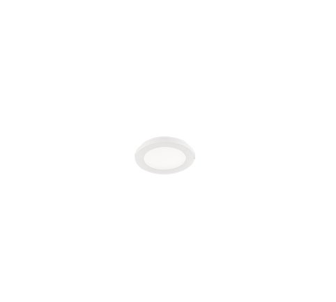 Trio R62921001 Camillus LED stropní svítidlo | Teplá bílá | 9W | Bílá