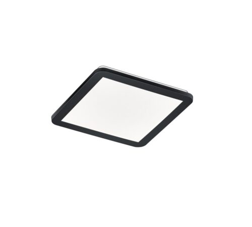 Trio R62931832 Camillus LED Přisazené stropní svítidlo | Teplá bílá | 18W