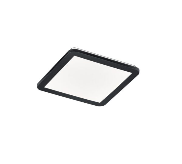 Trio R62931832 Camillus LED Přisazené stropní svítidlo | Teplá bílá | 18W
