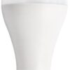 Rabalux 1969 SMD-LED LED žárovka E27 | Teplá bílá | 20W